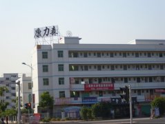 东莞康力森电子有限公司
